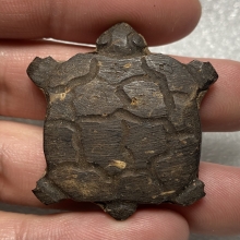 กะลาแกะรูปเต่า อุดผงฝังตะกรุด