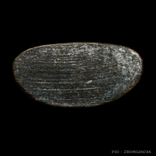 ติดที่3สมาคม หลวงพ่อเงิน วัดบางคลาน รุ่นปืนแตก