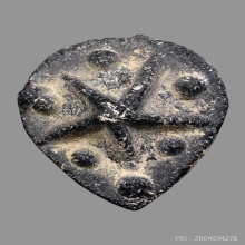 ดาวแม่เนื้อหอม หลวงพ่อผินะ วัดสนมลาว จ.สระบุรี