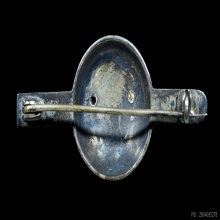 เข็มกลัดตรารัฐธรรมนูญ หน้าทองคำแท้ ตัวโครงเป็นเนื้อเงิน