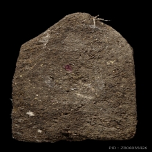 ติดที่3สมาคม ขุนแผนขี่โหงพราย เนื้อดิน7ป่าช้า หลวงพ่อกวย