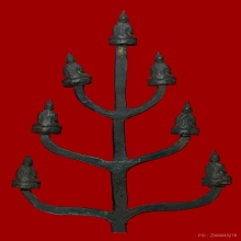 ยกช่อ 7 องค์ หลวงพ่องาม ตอกโค๊ต วัดพงษาราม จ.ฉะเชิงเทรา