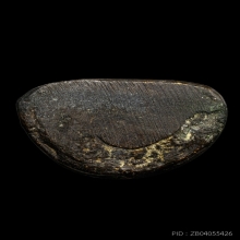 ติดที่2สมาคม หลวงพ่อเงิน วัดบางคลาน รุ่นปืนแตก