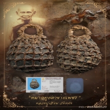 “หมากทุยตาข่ายเพชรสวยแชมป์”หลวงปู่เอี่ยม วัดหนัง