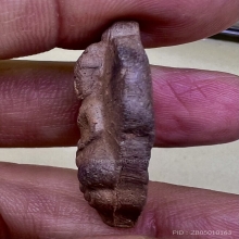 ใบโพธิ์พ่อลี อโศการาม สภาพดีดูง่าย 2500