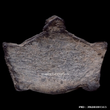 พระราหูกะลาแกะหลวงพ่อสังข์ วัดนากันตม ยุคต้น