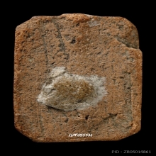 หลวงพ่อปาน พิมพ์ทรงนกฐานเขียง ผงเดิมๆ อุดล้น