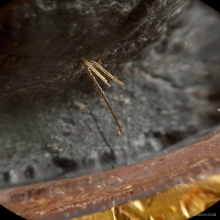 พระปิดตาปลดหนี้ หลังยันต์นะ หลวงปู่โต๊ะ