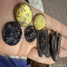 ผยองคำ วัดไม้ฮุง แม่ฮ่องสอน