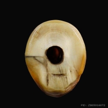 เขี้ยวเสือหลวงพ่อปานวัดบางเหี้ย 