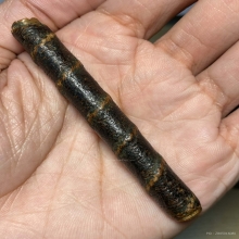 ตะกรุดมหารูดมงคลชาตรี หลวงพ่อจง วัดหน้าต่างนอก (ยุคต้น) 