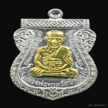 เหรียญหลวงปู่ทวด วัดช้างให้ รุ่น 100 ปีอาจารย์ทิม ปี 2555