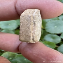 หลวงพ่อพรหมพระเนื้อผง พิมพ์โล่ใหญ่ปลุกเสกพิธีเสาร์5 ปี16