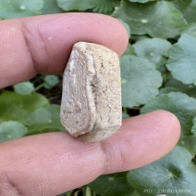 หลวงพ่อพรหมพระเนื้อผง พิมพ์โล่ใหญ่ปลุกเสกพิธีเสาร์5 ปี16