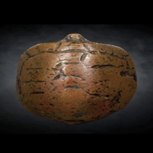 พญาเต่าเรือน หล่อโบราณ ไม่ทราบที่