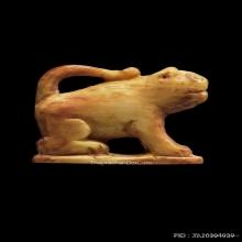 เสือหลวงพ่อเฮง วัดเขาดิน จ.นครสวรรค์