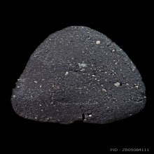 พระปิดตา วัดประสาทบุญญาวาส ปี 2506