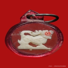 สิงห์งาแกะ หลวงพ่อมุ่ย วัดดอนไร่ จ.สุพรรณบุรี