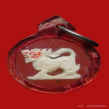 สิงห์งาแกะ หลวงพ่อมุ่ย วัดดอนไร่ จ.สุพรรณบุรี