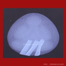 *** 1 ใน 5 องค์!!! ที่มีในโลก!!! ***