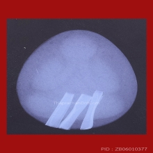 *** 5 PIECES!!! IN THE WORLD!!! ***