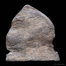 พระซุ้มกอ เนื้อชินเงิน กรุเขาพนมเพลิง จ.สุโขทัย