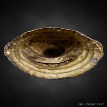 หลวงพ่อเจ็ดกษัตริย์ รุ่นแรก วัดป่าบ้านหนองแสง ยโสธร 