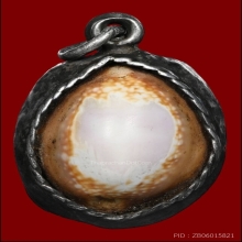 เบี้ยแก้หลวงปู่คำ(ลูกที่1)