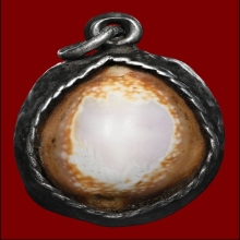 เบี้ยแก้หลวงปู่คำ(ลูกที่1)