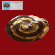 พระหลวงพ่อโหน่งวัดคลองมะดันพิมพ์เกศพระพุทธ