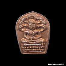 พระนาคปรกใบมะขามหลวงพ่อสาคร รุ่นแรก หลวงปู่ทิมปลุกเสก ปี2518