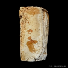 พระผงของขวัญวัดปากน้ำ รุ่นแรก