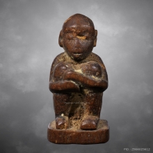 ลิงหลวงพ่อดิ่ง วัดบางวัว