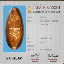 เบี้ยแก้หลวงพ่อนุ่ม(ลูกที่1)