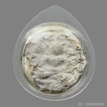 พระผง พิมพ์จันทร์ลอย กรุวัดคู้สลอด 