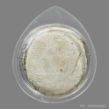 พระผง พิมพ์จันทร์ลอย กรุวัดคู้สลอด 