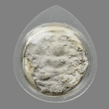 พระผง พิมพ์จันทร์ลอย กรุวัดคู้สลอด 