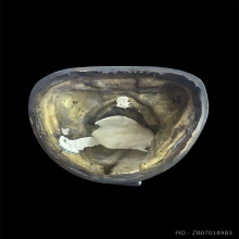 พระบูชาอาจารย์ฝั้น วัดป่าอุดมสมพร รุ่น5ปี19 หน้าตัก5นิ้ว