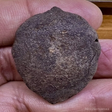 โพธิจักร พ่อลีวัดป่าคลองกุ้ง พนมมือเนื้อว่าน สวยสมบูรณ์หายาด