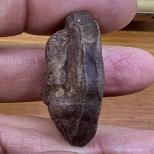 โพธิจักร พ่อลีวัดป่าคลองกุ้ง พนมมือเนื้อว่าน สวยสมบูรณ์หายาด