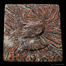 พระสมเด็จฐานสิงห์ปี2515 หลวงพ่อแพ วัดพิกุลทอง สิงห์บุรี