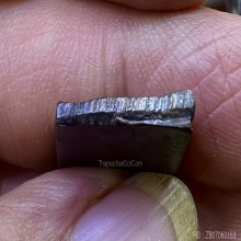 เหรียญหล่อพ่อเกิด วัดพันธุวงษ์ 2472 สวยเดิมหายากแล้ว