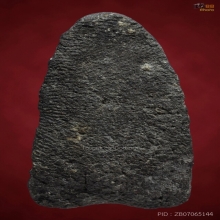 พระหลวงพ่อทวด เนื้อว่าน 2497 พิมพ์กลาง