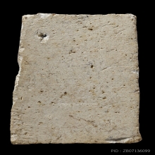 ติดที่2สมาคม พระครูมูล วัดสุทัศน์ เกศบัวตูม