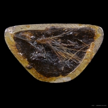 รูปหล่อหลวงปู่ทิม วัดละหารไร  เนื้อเงิน ชินบัญชรโสฬส 33 