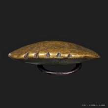 พญาเต่าเรือนหลวงพ่อเงินบางคลาน