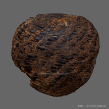 หมากทุย หลวงปู่เฒ่า(เอี่ยม) วัดหนัง