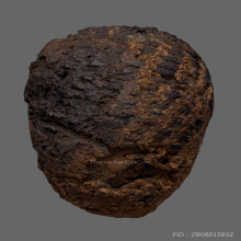 หมากทุย หลวงปู่เฒ่า(เอี่ยม) วัดหนัง