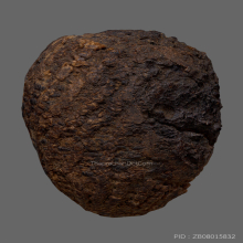 หมากทุย หลวงปู่เฒ่า(เอี่ยม) วัดหนัง