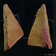 พระนางพญา พิมพ์สังฆาฏิ เนื้อดิน กรุวัดพระศรีฯ พิษณุโลก